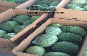 กะหล่ำปลีสดที่มีคุณภาพสูงด้วยราคาที่ดีที่สุด2023 - Product Image 6