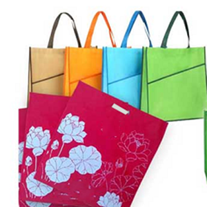 HOAHA Beauty Customized Color & Size Folding Shopping <b>Bag</b> with U-<b>Piping</b> Construction and PP Webbing Handle - Product Image 3