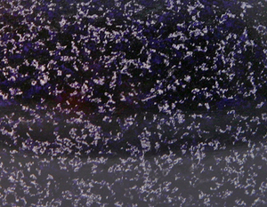 Urna de cremación para cenizas y funerarias, Color púrpura, aleación pulida, calidad prémium - Product Image 3