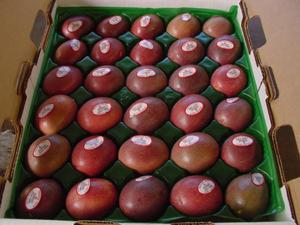 เสาวรสแช่แข็งสด Passion เวียดนามสินค้าขาย + 84845639639 - Product Image 3