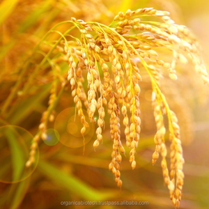 ปุ๋ยอินทรีย์แบรนด์คุณภาพสูงเพื่อปรับปรุงการเจริญเติบโตของพืชเพื่อการเพาะปลูกข้าวในบังคลาเทศ - Product Image 5