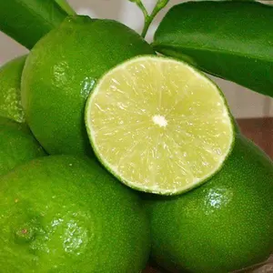 FRESH SEEDLESS LIME/SEEDLESS LEMON FROM VIET NAM PRICE