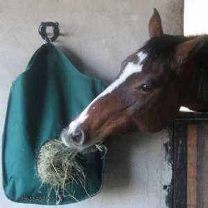 Muqaliba — sac d'aliments pour cheval, nouveau produit, sac en silisme de sarrasin, nouveau Design, sac d'alimentation lente, robuste St, prix d'usine - Product Image 2