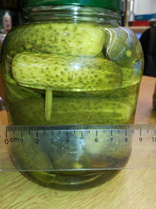 PICKLED GHERKING CUCUMBER/<b>BABY</b> PICKLED CUCUMBER/ SMALL /LARGE SIZE CUCUMBER 2024 - Product Image 4