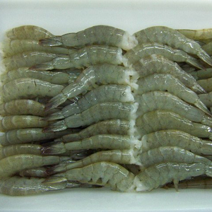 Camarones Vannamei sin Cabeza, Frescos y Congelados, 24 Meses de Vida Útil, Empaquetado en Caja, en Venta - Product Image 1