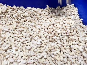 ถุงสุญญากาศเม็ดมะม่วงหิมพานต์คั่วแบบออร์แกนิกสี่ชิ้นเกรด LP ส่งออกจาก phalco เวียดนาม JSC - Product Image 6