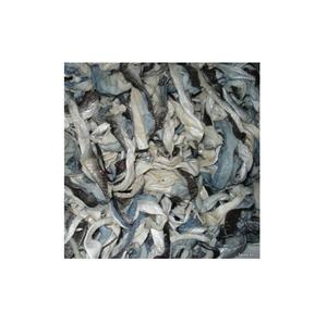 Piel de Bagre Seca - Piel de Bagre Limpia - Product Image 1