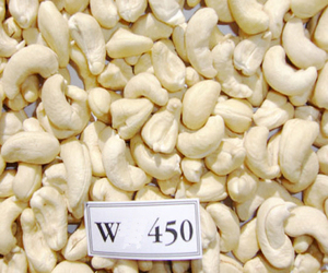 سعر المصنع مكسرات الكاجو الفيتنامية WW240/ WW320/ <span class=keywords><strong>WW450</strong></span>/ WS/ SP/ LP للتصدير - Product Image 4