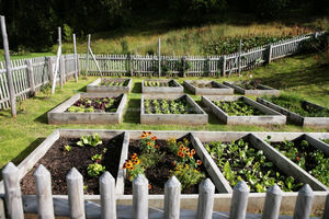 État de poudre - Product Image 3