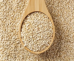 ซัพพลายเออร์จำนวนมากของ Quinoa ผลไม้จากอินเดีย - Product Image 2