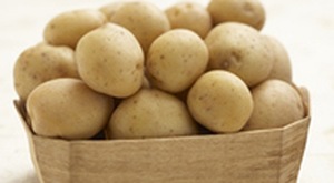 มันฝรั่งสดขนาดใหญ่พร้อม2024มาตรฐานส่งออก - Product Image 4