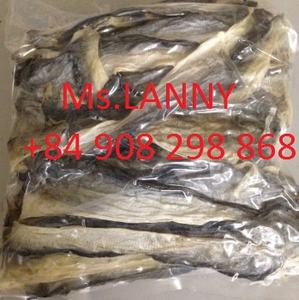 Peau de poisson basa séchée/Peau de poisson sèche du Vietnam/AMBRE - Product Image 5