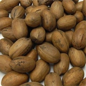 Vente directe usine : Noix de pécan naturelles séchées, de qualité supérieure, ouvertes, approuvées USDA, cultivées en Afrique du Sud, 25 kg/sac, durée de conservation 2 ans - Product Image 1
