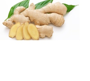 Matured <b>Fresh</b> <b>Ginger</b> - COMPETITIVE PRICE WHATSAPP+84-845-639-639 - Product Image 6