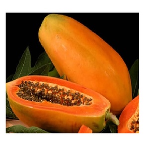 DRIED <b>PAPAYA</b> FROM <b>FRESH</b> <b>PAPAYA</b> MADE in VIET NAM - Product Image 1