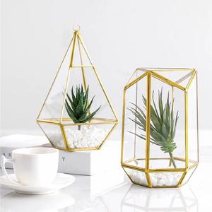 Modern Geometric Glass <b>Terrariums</b> Gold Plated Frame Succulent Planters Desktop Decor Minimalist Style Hanging Design - Product Image 1