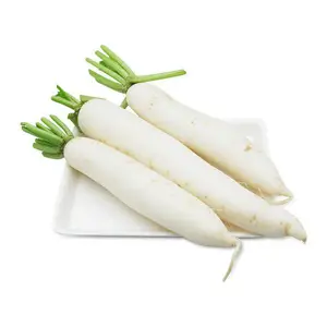 FRESH WHITE RADISH ( +84 845 639 639) in 2021