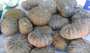 2024 <b>Fresh</b> <b>Pumpkins</b> High Quality at Cheap Price - Product Image 4