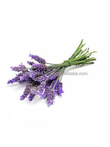 น้ำมันหอมระเหยลาเวนเดอร์ออร์แกนิกเกรดบำบัดบริสุทธิ์และเป็นธรรมชาติ100% จากอินเดีย - Product Image 4