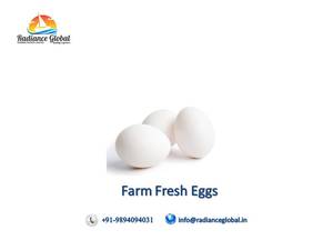 Fresh Indian Chicken Table Eggs - Product Image 3