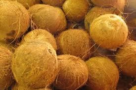 Fournisseur de noix de coco décortiquées noix de coco séchée meilleur prix haute qualité HOLIDAY - Product Image 4