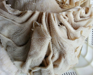 Omaso y Órgano de la Tripa de Res Secos Halal a Granel - Product Image 3