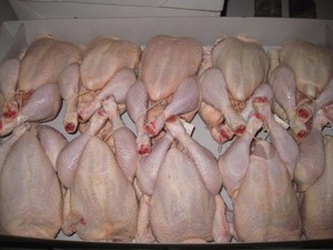 Pollo completo de congelación Halal, 2021 - Product Image 5