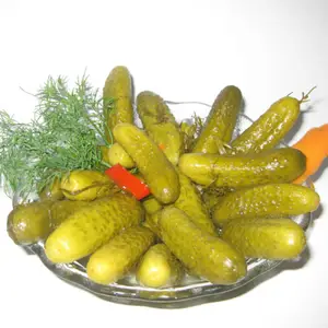 Pepino fresco encurtido/pepino de Vietnam 2020 - Product Image 1