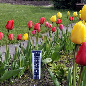 Gyvertak — jauge de pluie en plastique, outil mural de 5 pouces, format loupe facile à lire - Product Image 6