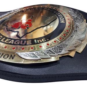 Ceinture de championnat de boxe avec logo personnalisé, ceinture de championnat d'arts martiaux/MMA, plaques métalliques, ceinture de boxe, association d'événements - Product Image 3