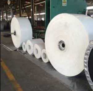 ईपी 250/2-3 + 1 सफेद खाद्य ग्रेड कन्वेयर बेल्ट - Product Image 5