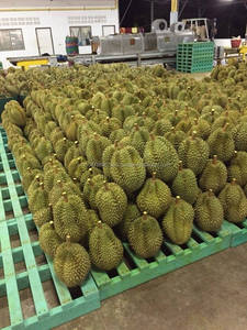 CARNE IQF DURIAN En 2024 - Product Image 3
