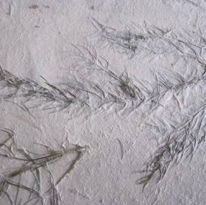 Papier Lokta fait à la main au Népal - Product Image 3