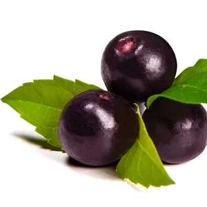 Bio poudre de baies D'açai