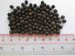 Offre Spéciale Poivre Noir du Vietnam 500GL 550GL FAQ Poivre Entier Séché à Haute Teneur en Pipérine Fournisseur d'Usine Vente en Gros Exportation Épice en Vrac - Product Image 5