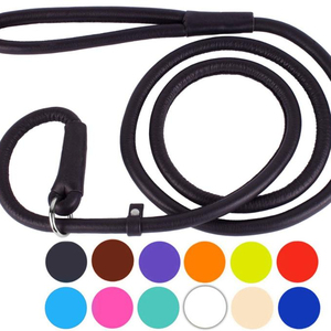 สุนัข Slip Leash,รีดหนังสุนัข - Product Image 1