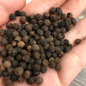 Pimienta negra, 500GL, FAQ, precio barato, especias - Product Image 3