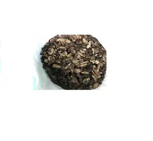 Wholesale High Quality Organic Dried Noni Fruit Slices / Morinda Citrifolia From Vietnam