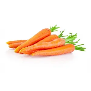 Buy Organic Carrot Seed Essential Oil in Bulk Quantity with Natural Ingredients