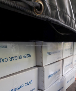 Caña de azúcar fresca orgánica de Vietnam - Product Image 6