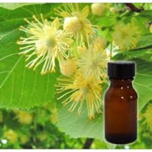 100% Pure Galbanum Aceite esencial Aceite de resina natural para aromaterapia Perfumería y cuidado de la piel Proveedor al por mayor - Product Image 6