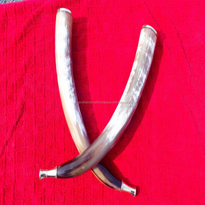 Cuerno de Soplado 100% Natural de la Mejor Calidad - Product Image 1