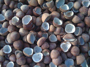 Đông Lạnh Cắt Nhỏ Dừa/Tươi Trưởng Thành Dừa/Bán Husked Trưởng Thành Dừa Trong 2020 - Product Image 3