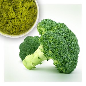 POLVO DE BROCCOLI/BROCCOLI EN POLVO ORIGEN VIETNAM - Product Image 3