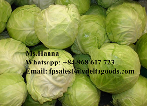 กะหล่ำปลีสดที่มีคุณภาพสูงด้วยราคาที่ดีที่สุด2023 - Product Image 4