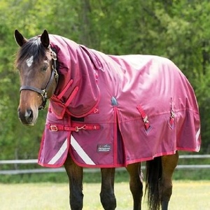 Tapis de cheval 1200 Denier robuste avec couverture de cou 300gsm tapis d'hiver isolé | Tapis d'hiver personnalisé 1200D Horse avec cou détaché - Product Image 5