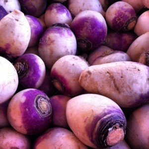 Poudre d'engrais organique pour la culture du blé à base de plantes à libération contrôlée pour l'application des cultures - Product Image 3