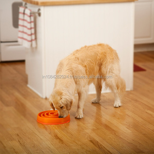 Bowsl de diseño para alimentación de perros - Product Image 4