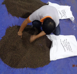 พริกไทยดำเวียดนาม-คุณภาพดีที่สุด-ราคาดี-จัดส่งทันที - Product Image 3