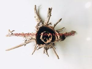 Adorno de acuario de madera real - Product Image 4